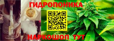 амф Лесосибирск