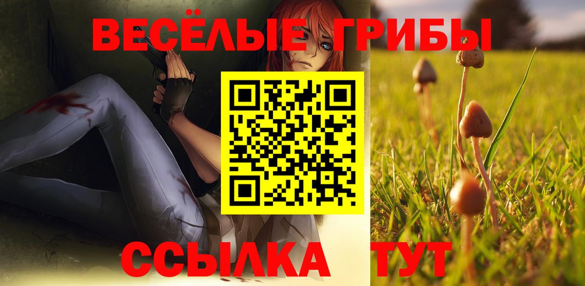 купить наркотики сайты  Вход с VPN  Псилоцибиновые грибы Magic Shrooms  Городец  Псилоцибиновые грибы мухоморы 